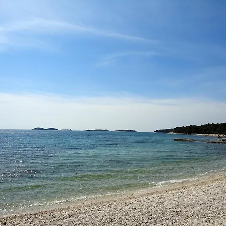 Dino I Karla, A Spacious And Beautiful In A Calm Village Gradisce (Istria)