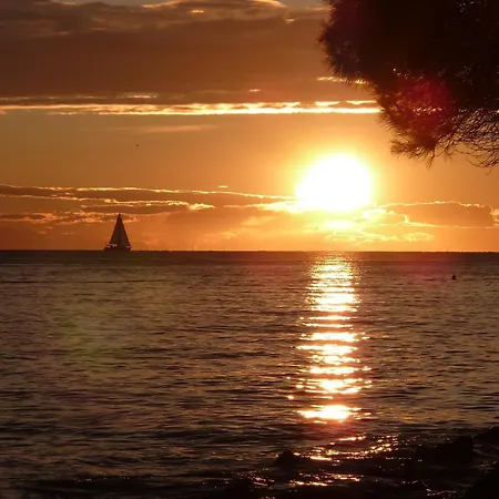 Dino I Karla, A Spacious And Beautiful In A Calm Village Gradisce (Istria)